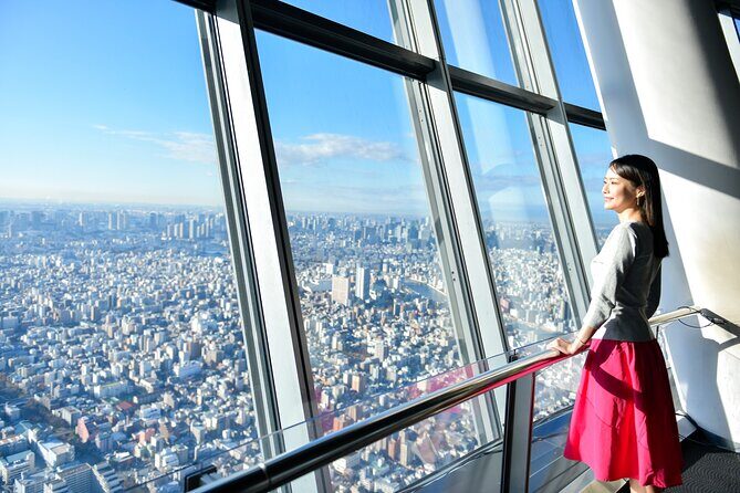 Tokyo Skytree, Asakusa, and Imperial Palace 1/2-Day Private Tour - Who Should Consider This Tour?