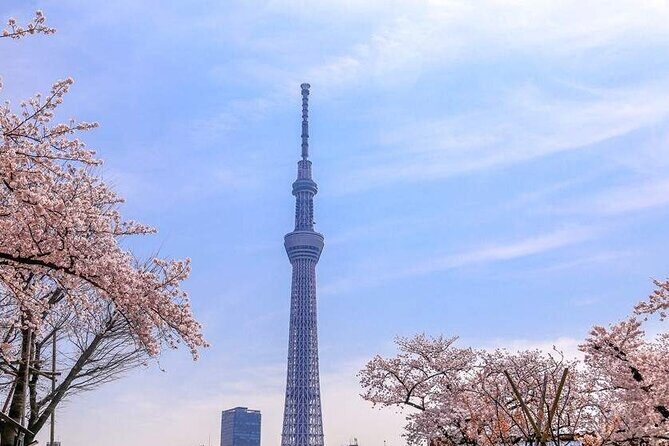 Tokyo Skytree Japan E-Ticket for Admission - Final Thoughts on the Tokyo Skytree E-Ticket Experience