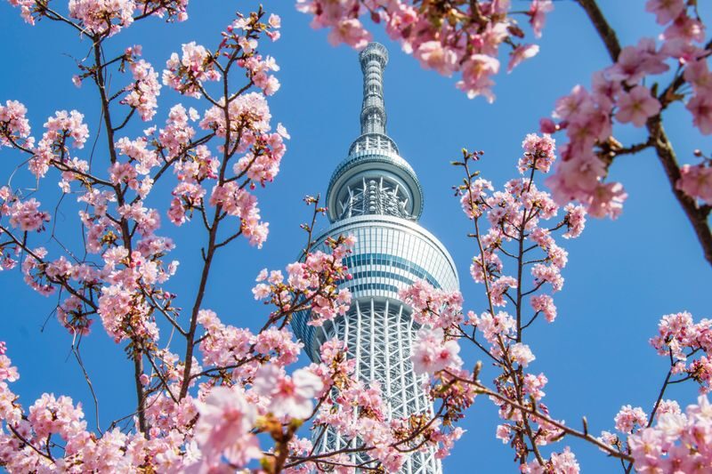 TOKYO SKYTREE Ticket - Arrival, entry, and time on the decks