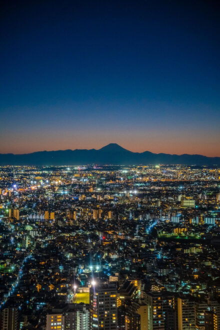 Tokyo Snapshot 4 Day - One Life Adventures - Daily Itinerary Highlights