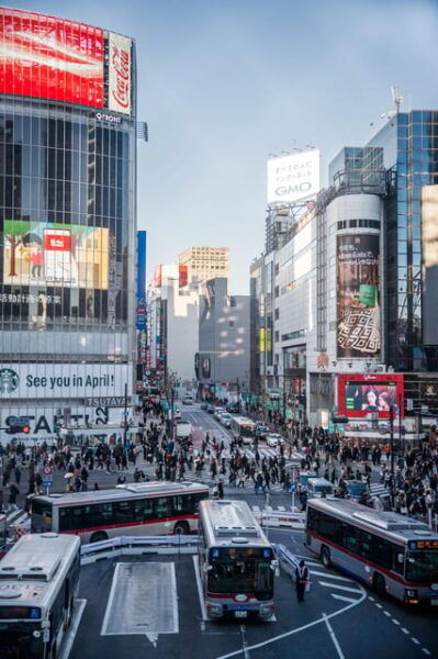 Tokyo Snapshot 4 Day - One Life Adventures - Important Travel Information