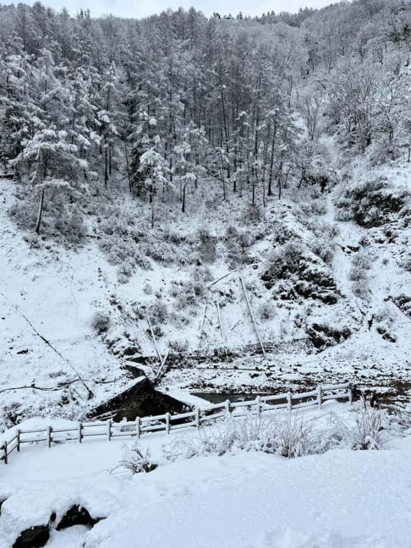 Tokyo: Snow Monkey & Nagano Customizable Private Day Tour - Good To Know