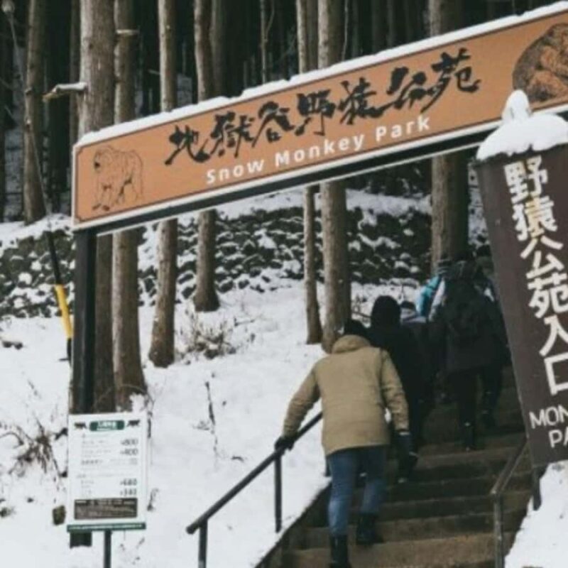 Tokyo: Snow Monkey Park and Zenkoji Temple Private Day Tour - Good To Know  