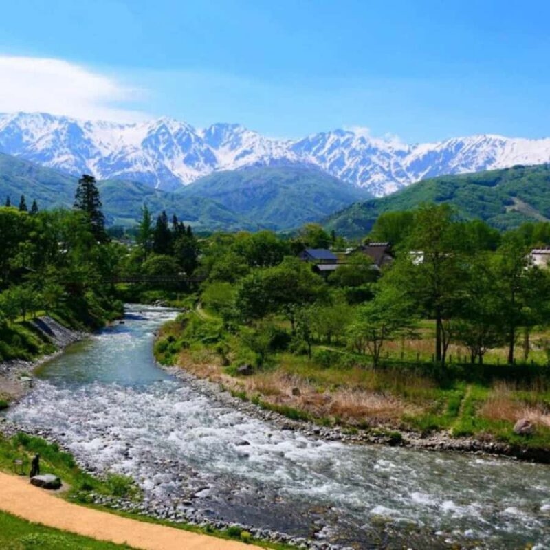 Tokyo: Snow Monkey Park and Zenkoji Temple Private Day Tour - Final Thoughts