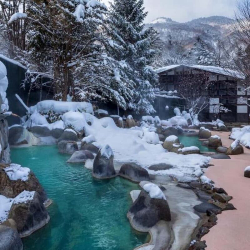 Tokyo: Snow Monkey Park and Zenkoji Temple Private Day Tour - Pricing and Value for Money