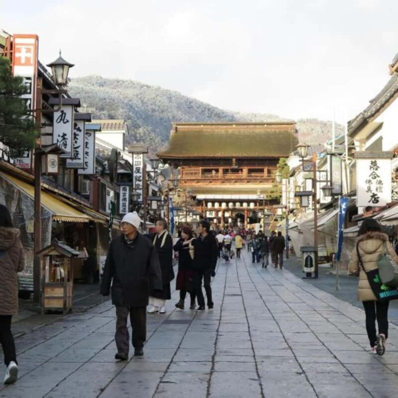 Tokyo: Snow Monkey Park and Zenkoji Temple Private Day Tour - Final Thoughts