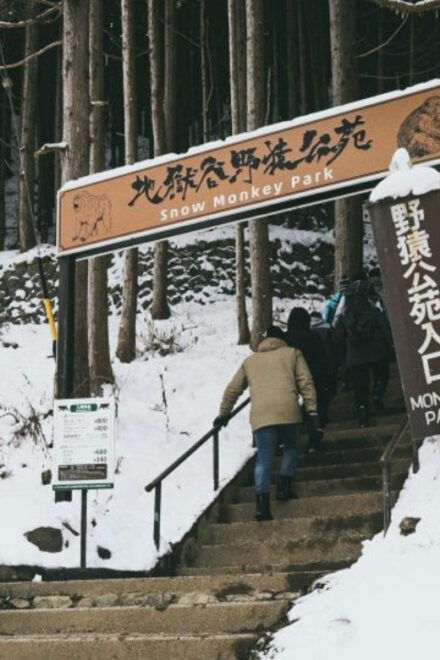 Tokyo: Snow Monkey Park & Zenkoji Temple Private Day Tour - Preparation and Restrictions