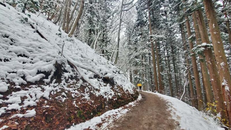 Tokyo: Snow Monkeys, Zenkoji Temple, & Obuse Day Trip - Good To Know