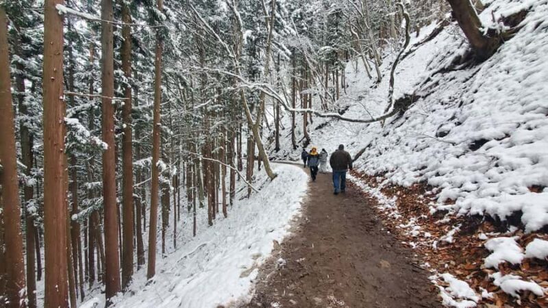 Tokyo: Snow Monkeys, Zenkoji Temple, & Obuse Day Trip - Who Should Consider This Tour?