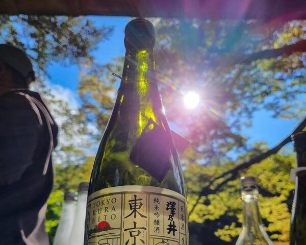 Tokyo: Sommelier Sake Tasting in Okutama - Tips for Participants