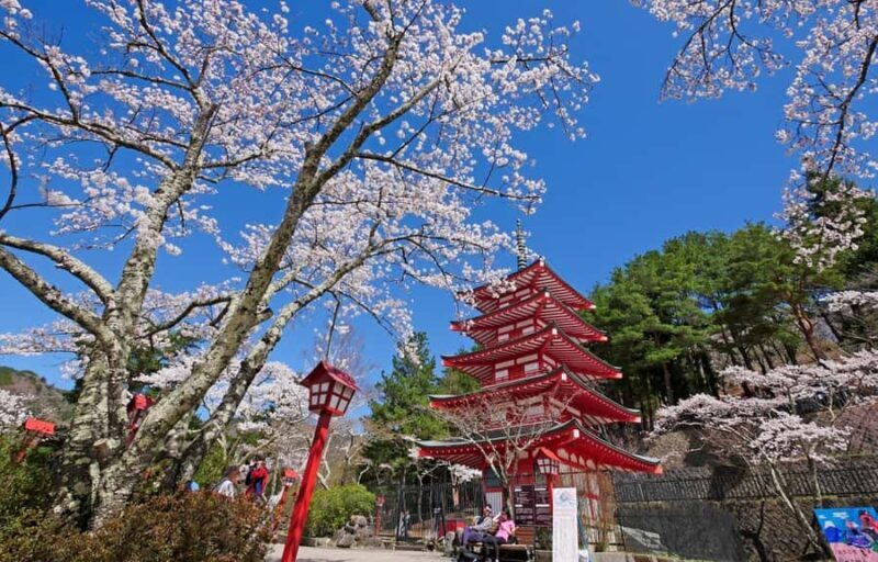 Tokyo Stunning Views of Mount Fuji Best-Selling One-Day Trip - An In-Depth Look at the Full-Day Tour Experience