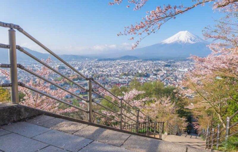 Tokyo Stunning Views of Mount Fuji Best-Selling One-Day Trip - Who Will Love This Tour?