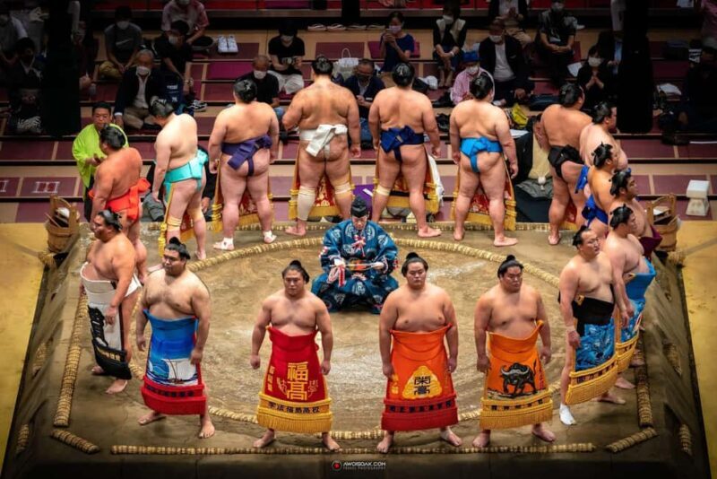 Tokyo: Sumo History Tour with Chanko-Nabe Lunch - The Rituals and the Replica Dohy