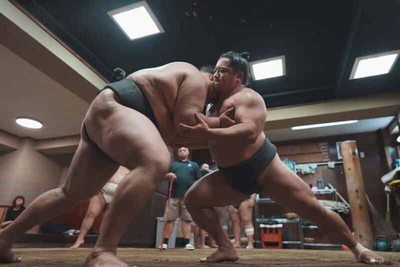 Tokyo: Sumo Keiko Training Tour with Audio Guide & Photo - What You Can Expect from the Tour  