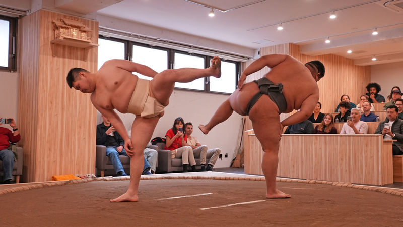 Tokyo: Sumo Live Show with Photo in Shinjuku - Sumo in Shinjuku, with the rules explained