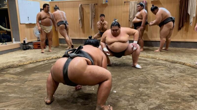 Tokyo: Sumo Morning Practice & Chanko Breakfast Experience - The Sum Up