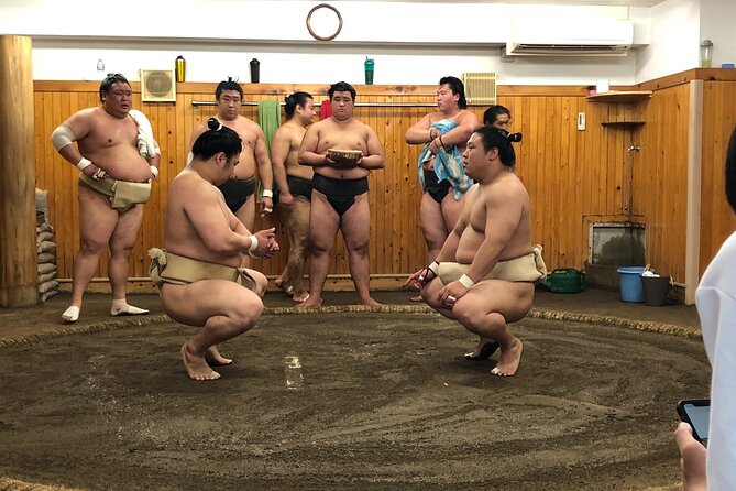 Tokyo Sumo Morning Practice Tour & Hot Pot Made by Wrestlers - Practice Details