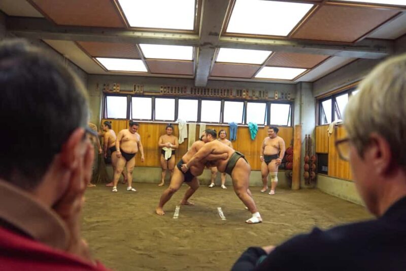 Tokyo: Sumo Morning Practice Tour in Ryogoku and Photo Shoot - Discovering the World of Sumo: An In-Depth Review