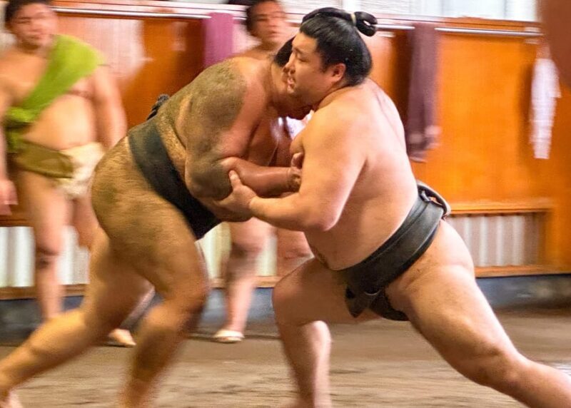 Tokyo: Sumo Morning Practice Tour with Expert Reporter - A Closer Look at the Tour Experience