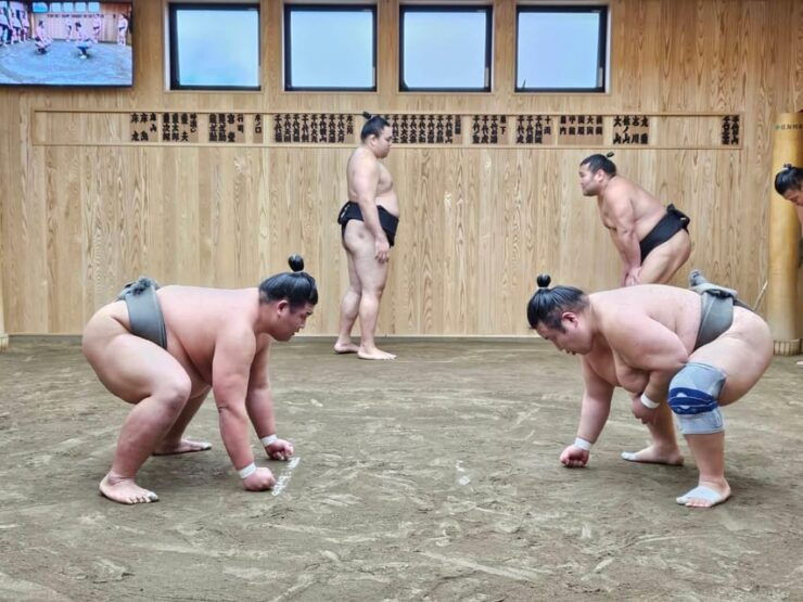 Tokyo Sumo Morning Practice Tour With Private Car Transfer - Good To Know