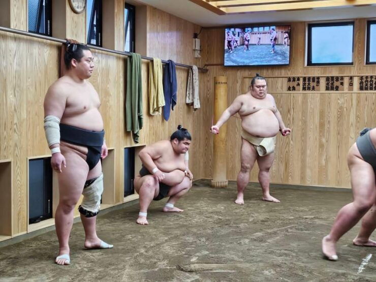 Tokyo Sumo Morning Practice Tour With Private Car Transfer - Experience Highlights