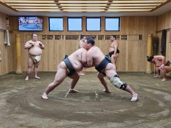 Tokyo Sumo Morning Practice Tour With Private Car Transfer - What to Bring and Prohibited Items