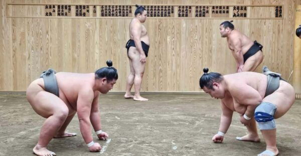 Tokyo Sumo Morning Practice Tour With Private Car Transfer - Reservation and Cancellation Policy