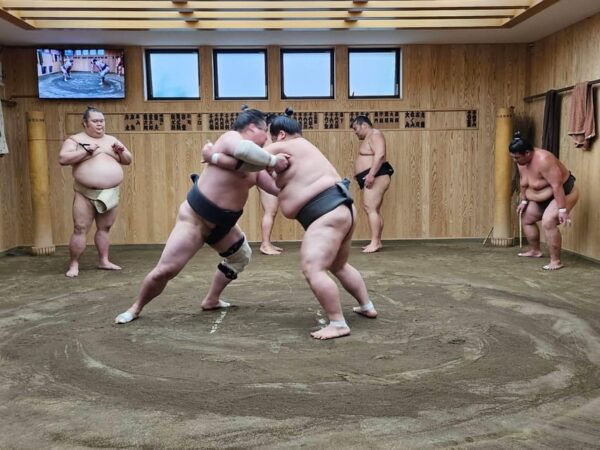 Tokyo Sumo Morning Practice Tour With Private Car Transfer - Etiquette and Behavior Guidelines