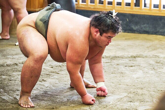 Tokyo: Sumo Morning Practice Viewing Tour at a Real Stable - The Value for Money
