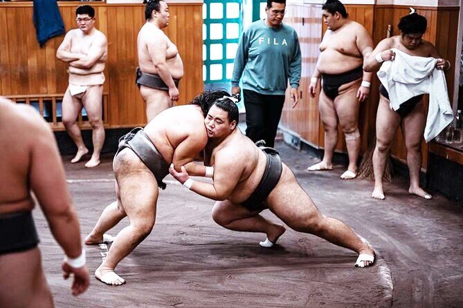 Tokyo: Sumo Morning Practice Viewing Tour at a Real Stable - Real Reviewer Insights