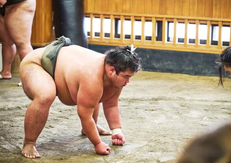 Tokyo: Sumo Morning Practice Viewing Tour at a Real Stable - What the Tour Entails: A Deep Dive