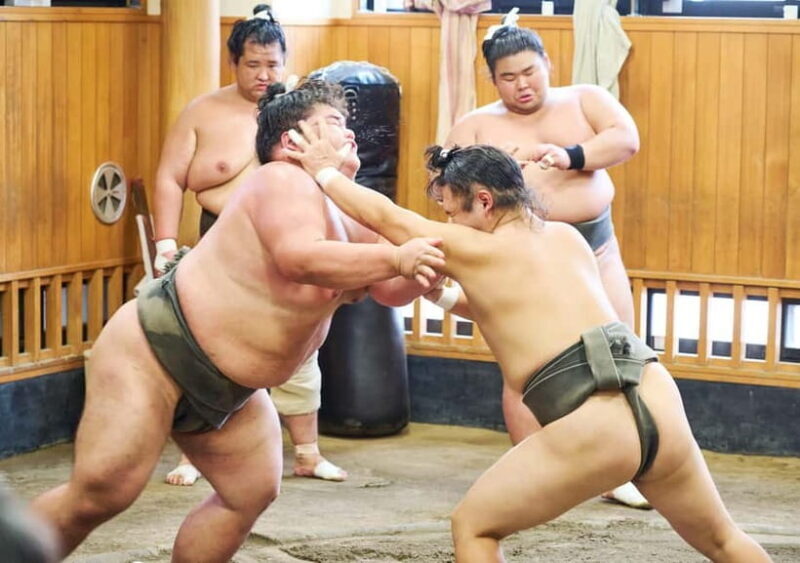 Tokyo: Sumo Morning Practice Viewing Tour at a Real Stable - Good To Know