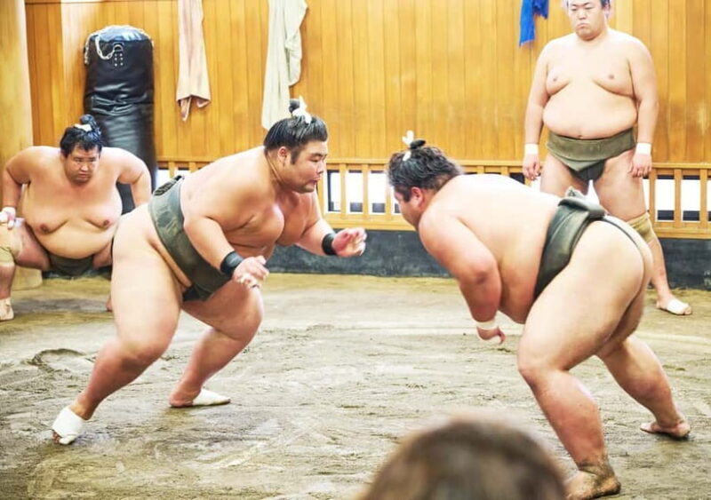 Tokyo: Sumo Morning Practice Viewing Tour at a Real Stable - Who Should Book This Tour?