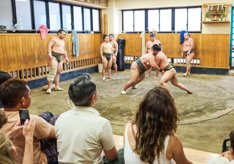 Tokyo: Sumo Morning Practice Viewing Tour at a Real Stable - FAQ