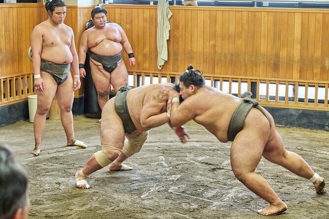Tokyo: Sumo Morning Practice Viewing Tour at a Real Stable - An In-Depth Look at the Sumo Practice Tour
