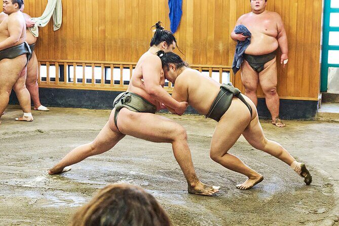 Tokyo: Sumo Morning Practice Viewing Tour at a Real Stable - FAQ