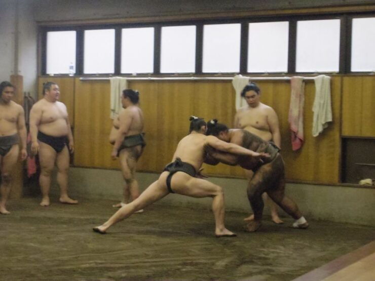 Tokyo: Sumo Morning Practice Viewing Tour - Activity Details