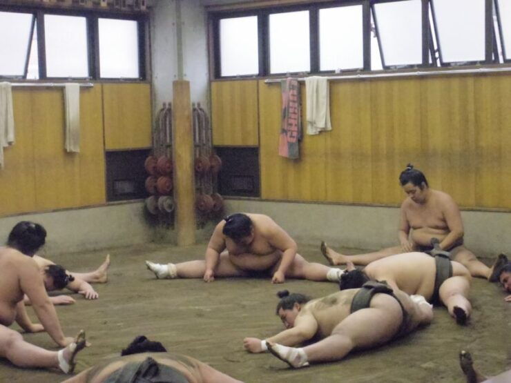 Tokyo: Sumo Morning Practice Viewing Tour - Availability and Ratings