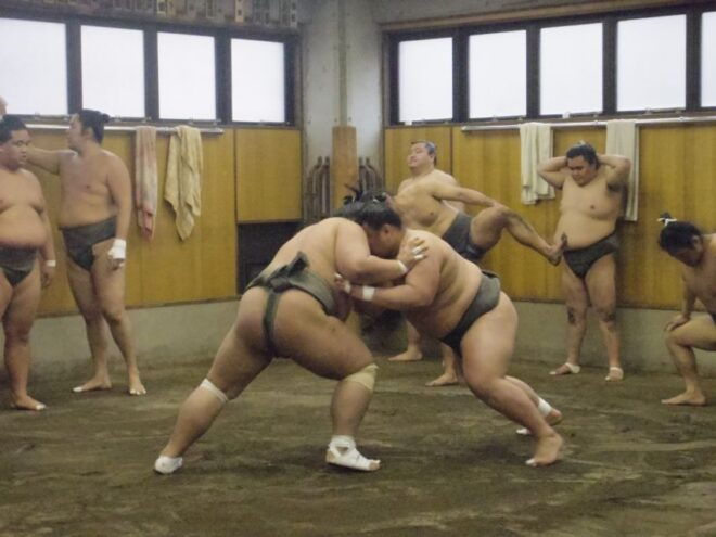 Tokyo: Sumo Morning Practice Viewing Tour - Guide Experience and Recommendations