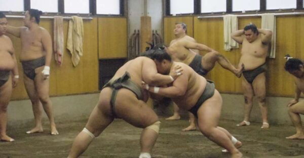 Tokyo: Sumo Morning Practice Viewing Tour - Common Questions