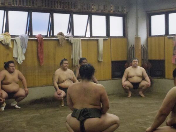 Tokyo: Sumo Morning Practice Viewing Tour - The Sum Up