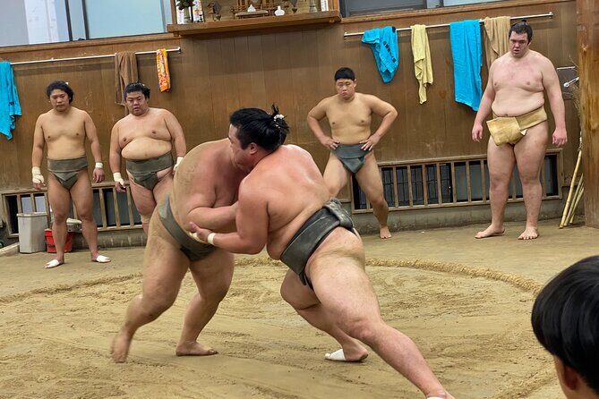 Tokyo Sumo Morning Practice with Guide  Ringside Live Training - A Closer Look at the Tokyo Sumo Morning Practice with Guide and Ringside Live Training