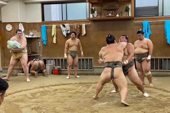 Tokyo Sumo Morning Practice with Guide  Ringside Live Training - Who Will Love This Tour?