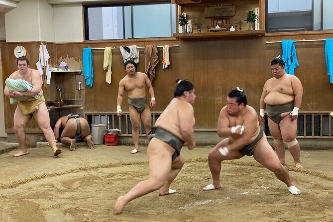Tokyo Sumo Morning Practice with Guide  Ringside Live Training - Final Thoughts