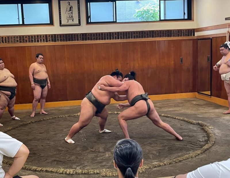 Tokyo: Sumo Morning Practice with Photo Banzuke and Guide - Price and Value Analysis