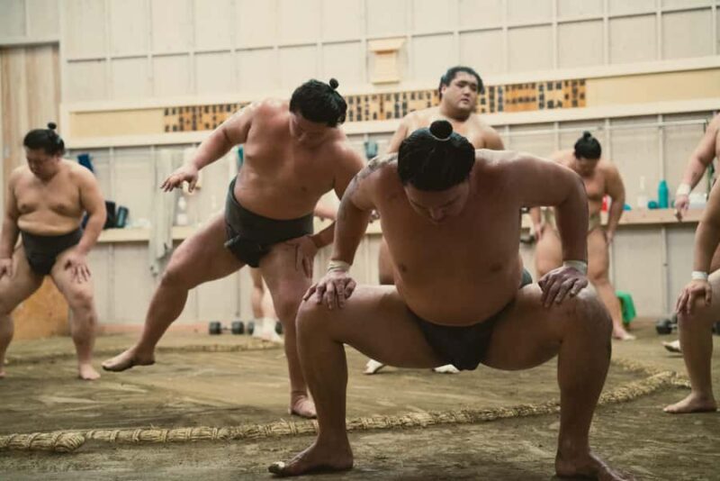 Tokyo Sumo Morning Training/ Sumo Practice with Wrestlers - What Makes This Tour Stand Out?
