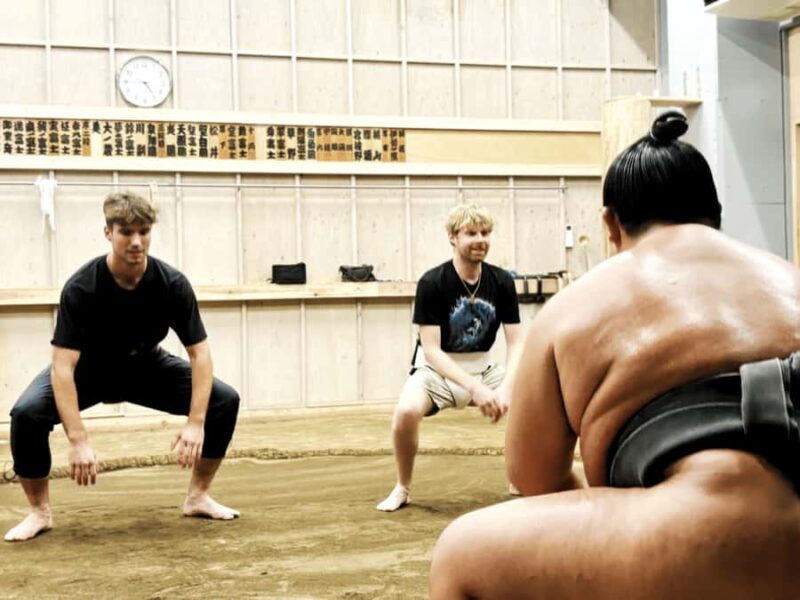 Tokyo Sumo Morning Training/ Sumo Practice with Wrestlers - Insights from Reviews: Authenticity and Guides