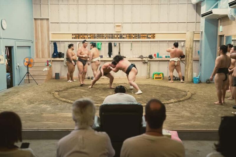 Tokyo Sumo Morning Training/ Sumo Practice with Wrestlers - Final Thoughts: Is It Worth It?