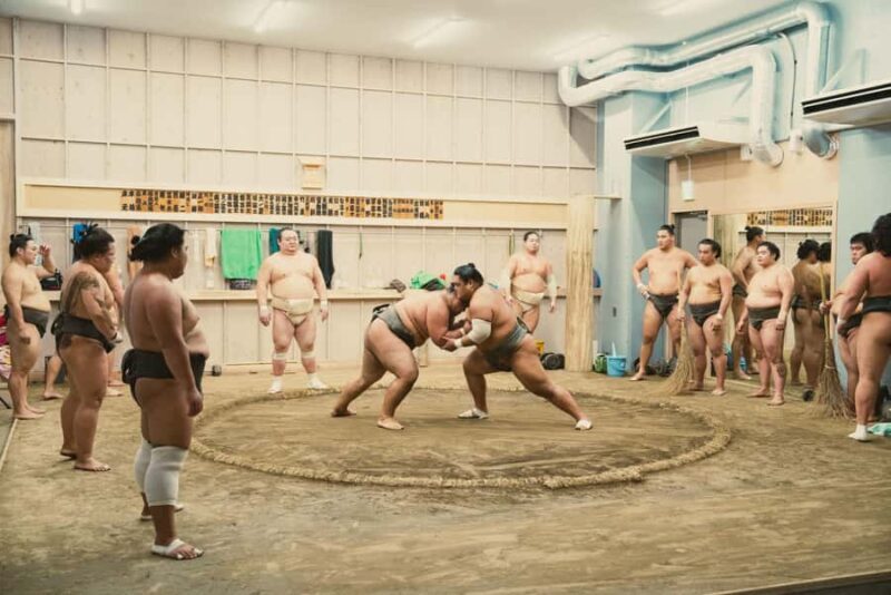 Tokyo Sumo Morning Training/ Sumo Practice with Wrestlers - Who Should Consider This Tour?