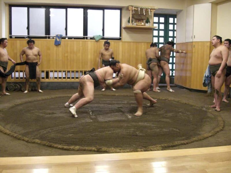 Tokyo: Sumo Morning Training Watching EXP. with Sumo Guide - Who Will Love This Tour?